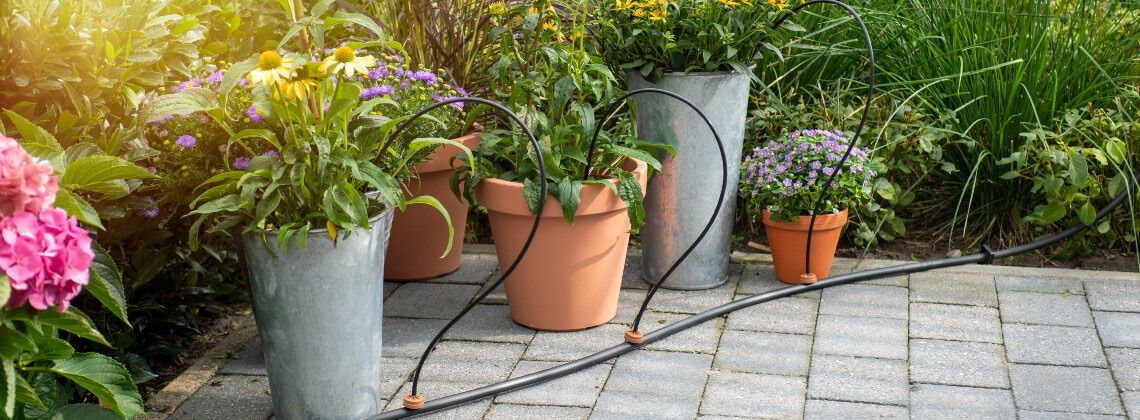 [paste advice page name here]